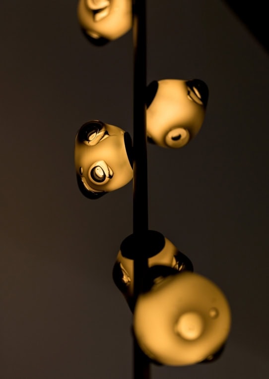 Boc_57-Stem-Suspended_002-1