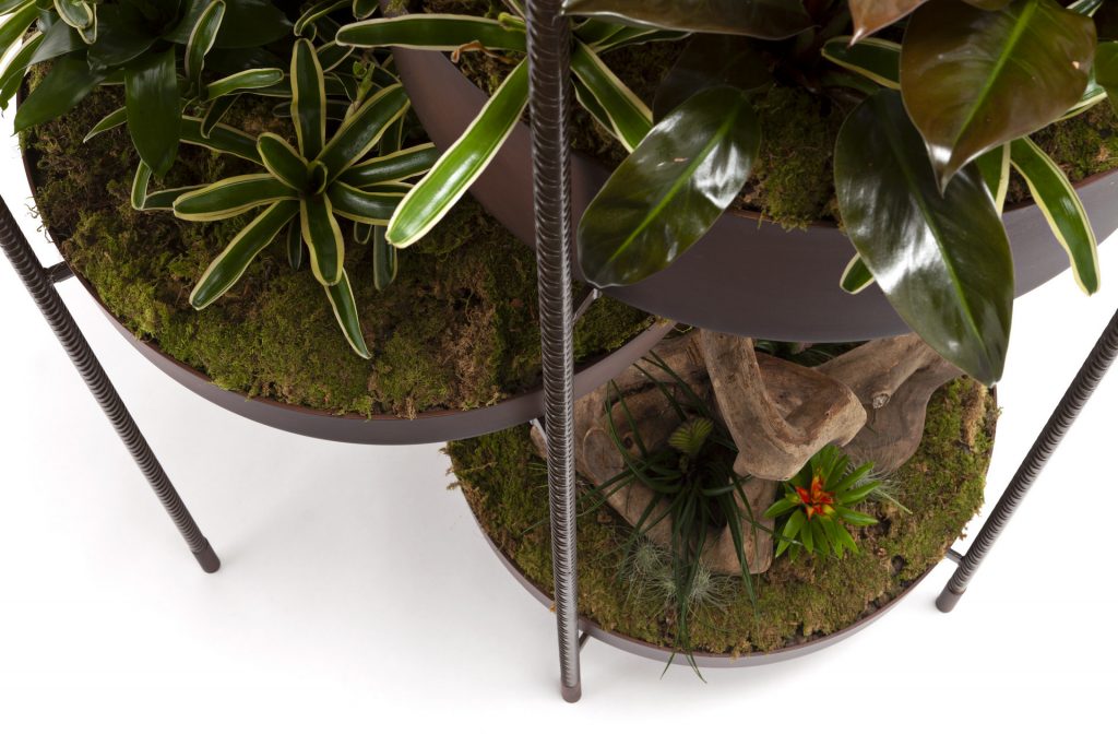 Vertical Garden
