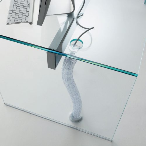 Snake Transparent flexible cable organizer in a coiled shape on a white background.