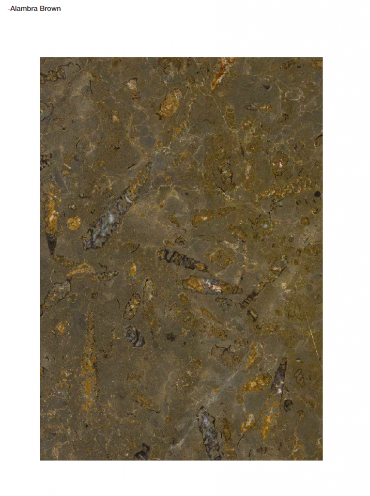 Marble sample in brown color on a white background.