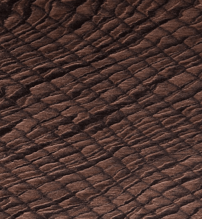 Arapaima material sample featuring a textured surface in shades of dark brown, resembling fish scales.
