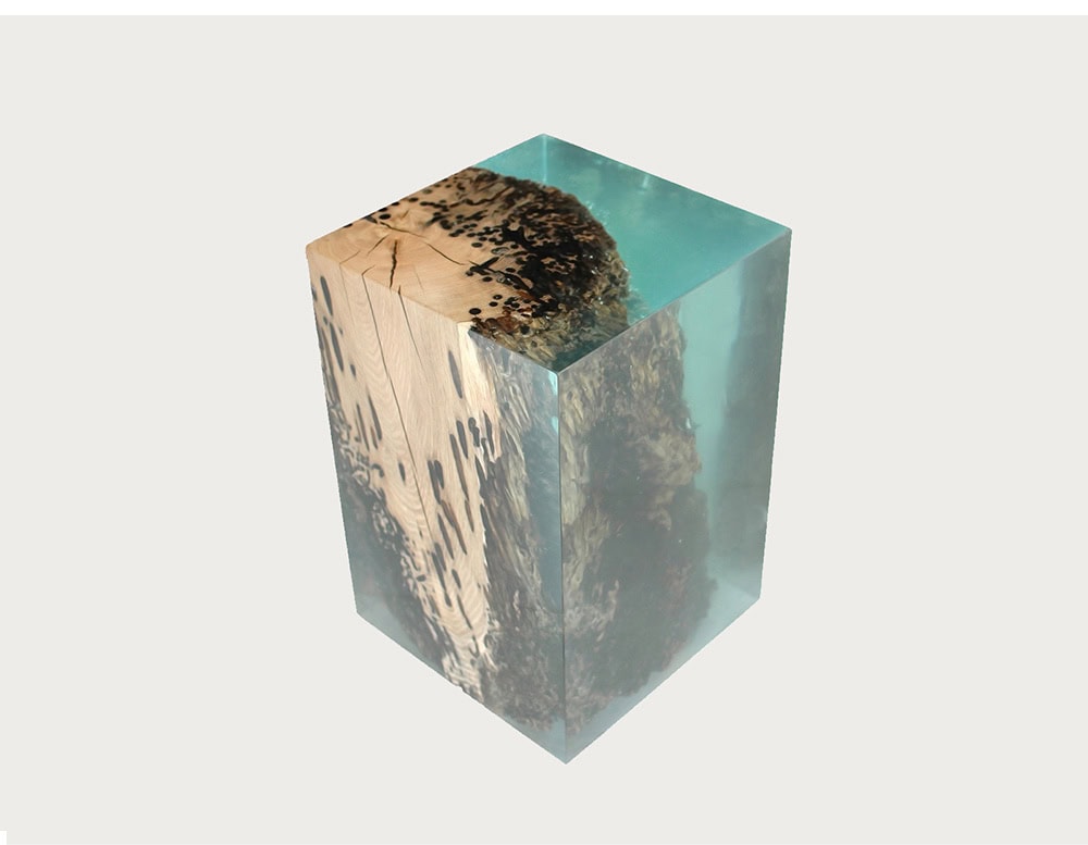 Stool crafted with embedded wood inside resin, creating a transparent block that highlights natural grain. The piece merges rustic material with sleek design for a contemporary finish.
