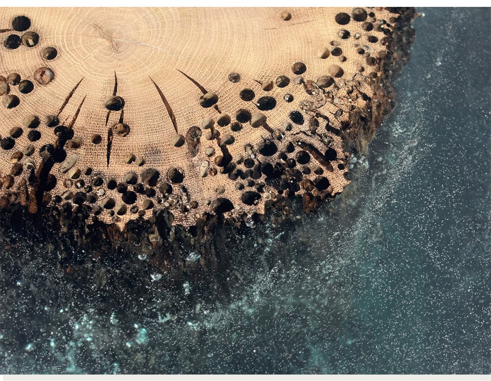 The Anchor Stool blends natural wood with crystal-clear resin, resembling a fragment of forest preserved underwater. Its organic texture and aquatic illusion create a striking sculptural presence.