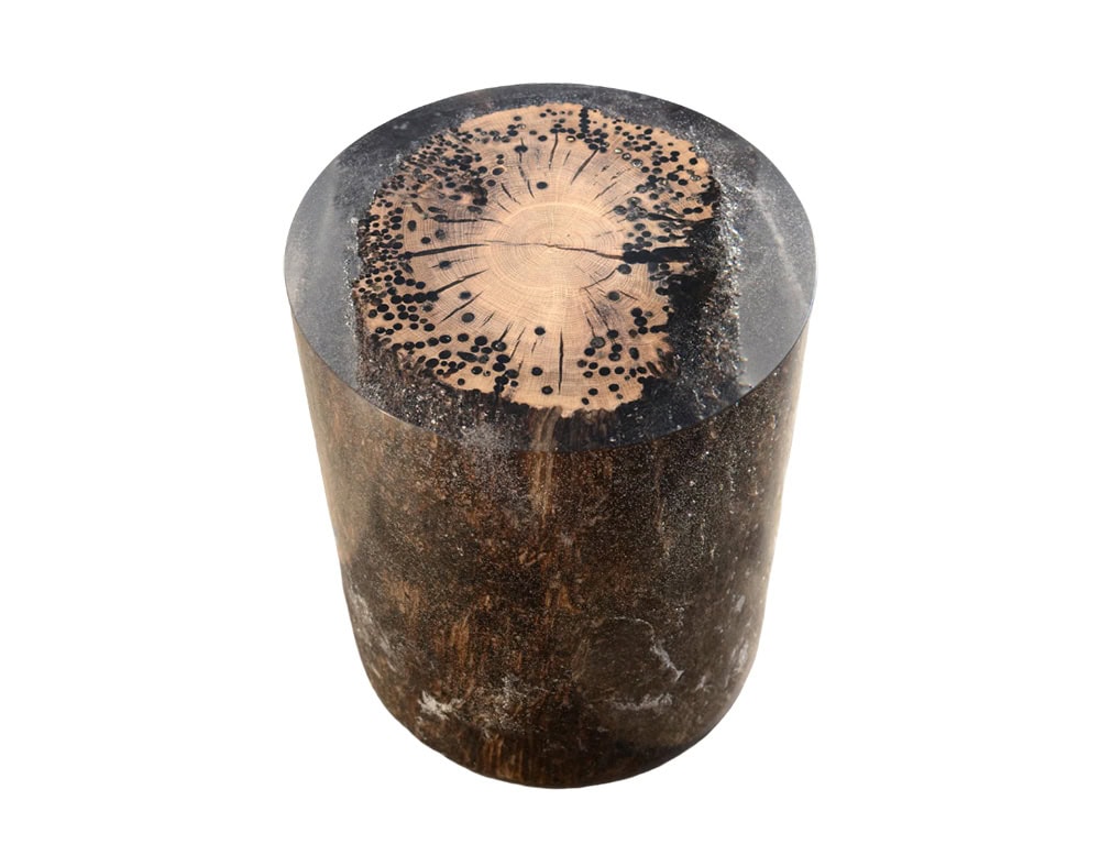 Crafted from solid wood encased in clear resin, the Fisheye Stool showcases a preserved cross-section with striking natural details, turning organic patterns into a functional sculptural piece.