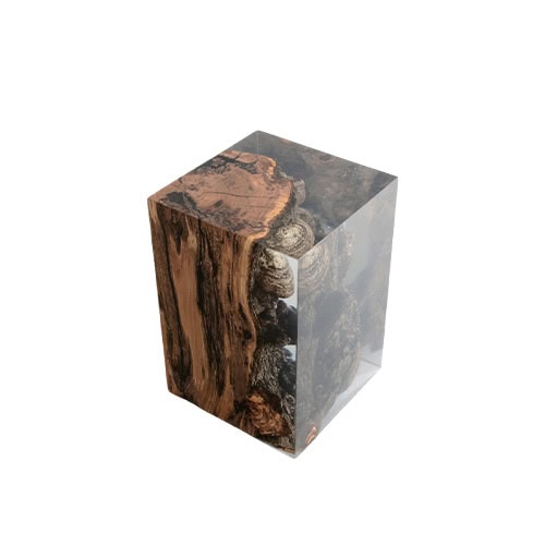 This stool encases natural fungi and rugged wood inside crystal-clear resin, merging raw textures with a glossy, sculptural finish. It functions as both seating and a striking decorative piece.
