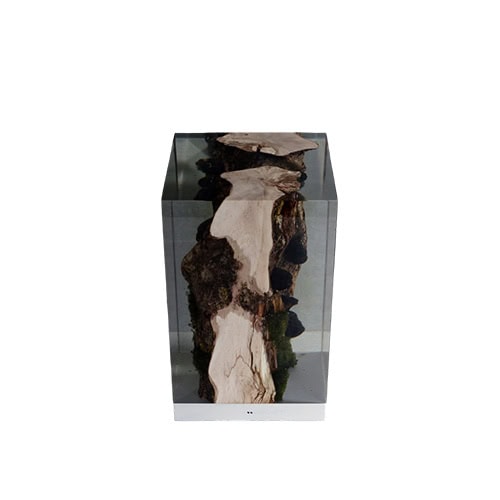 A moss lamp encases raw wood and natural moss in transparent resin, producing a sculptural light that blends organic and modern elements.
