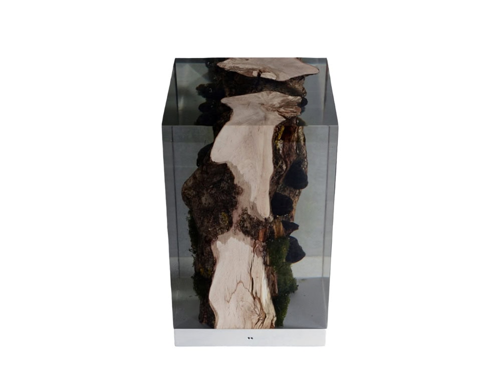 A moss lamp merges organic textures with modern lighting, showcasing preserved moss and wood encased in clear resin. Its natural details and soft illumination create a striking piece that blurs the line between nature and design.