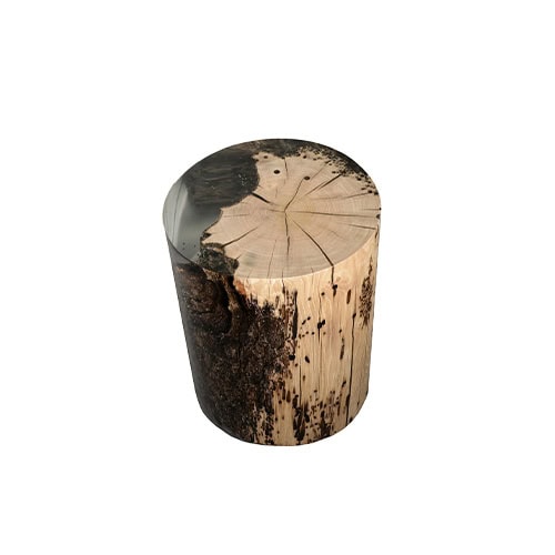 Surfacing Fisheye Stool features a tree cross section with visible rings and bark preserved in resin. Its cylindrical shape and polished finish highlight natural beauty in a modern form.