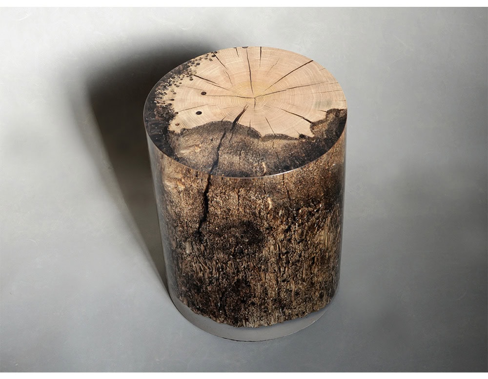 Surfacing Fisheye Stool presents a cylindrical form with tree rings and bark textures preserved in resin. The natural details are magnified by the glossy surface, turning it into a sculptural accent.