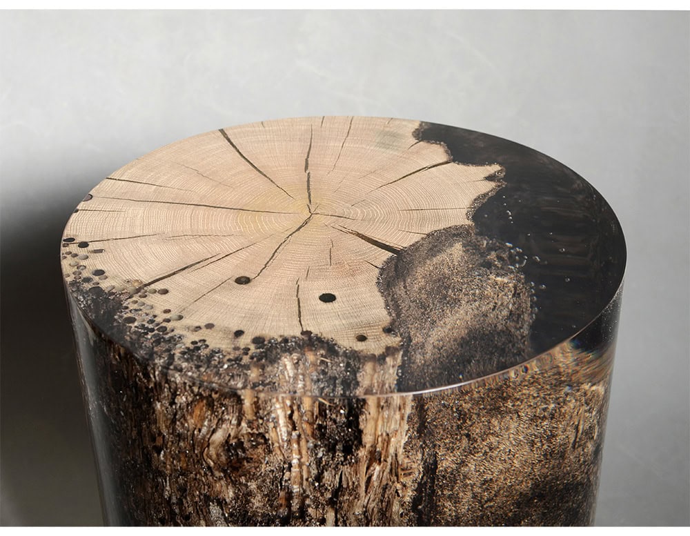Surfacing Fisheye Stool reveals the cut of a tree trunk preserved in resin, highlighting growth rings and bark textures. Its cylindrical form combines organic detail with a polished contemporary finish.