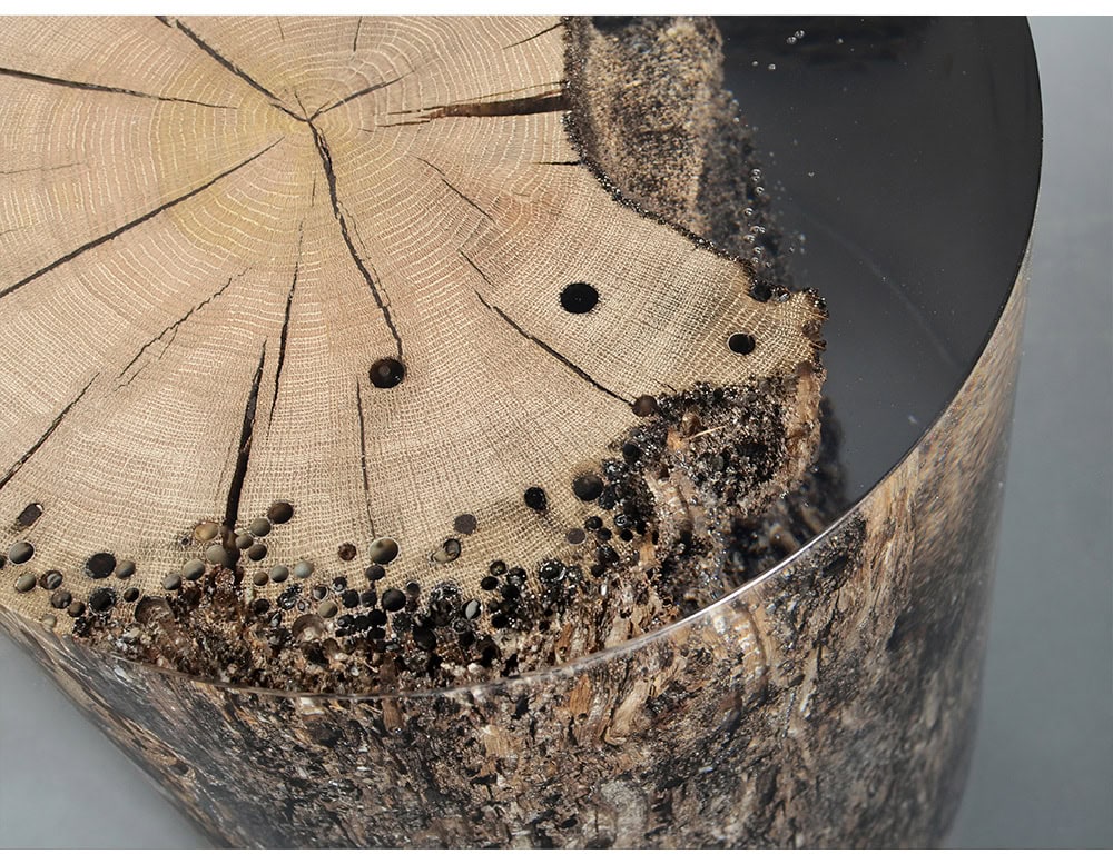 Surfacing Fisheye Stool displays the intricate rings and bark of a tree cross section, preserved in resin. The polished cylindrical form transforms raw organic detail into a contemporary object.