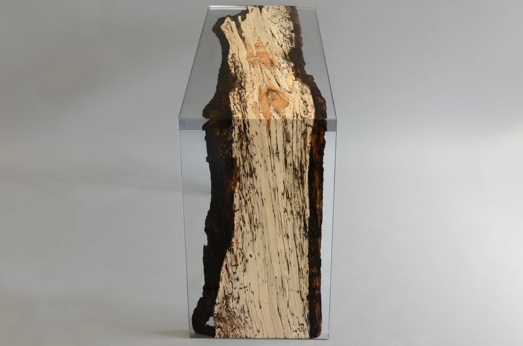 Fungi Console with an elongated, rectangular shape, made of wood with a natural finish and featuring a transparent resin inlay, set against a white background.