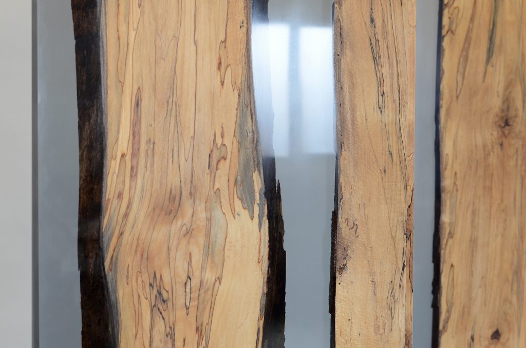 Closeup of Fungi Screen with an organic design, made of wood with a natural finish and featuring transparent resin inlays, set against a white background.