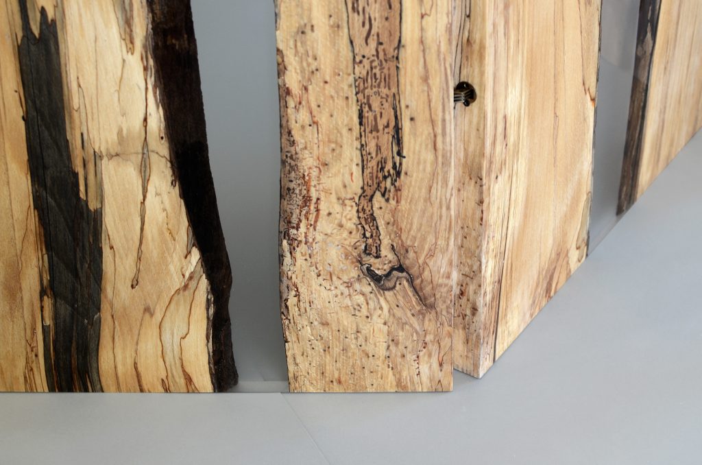 Closeup of Fungi Screen with an organic design, made of wood with a natural finish and featuring transparent resin inlays, set against a white background.
