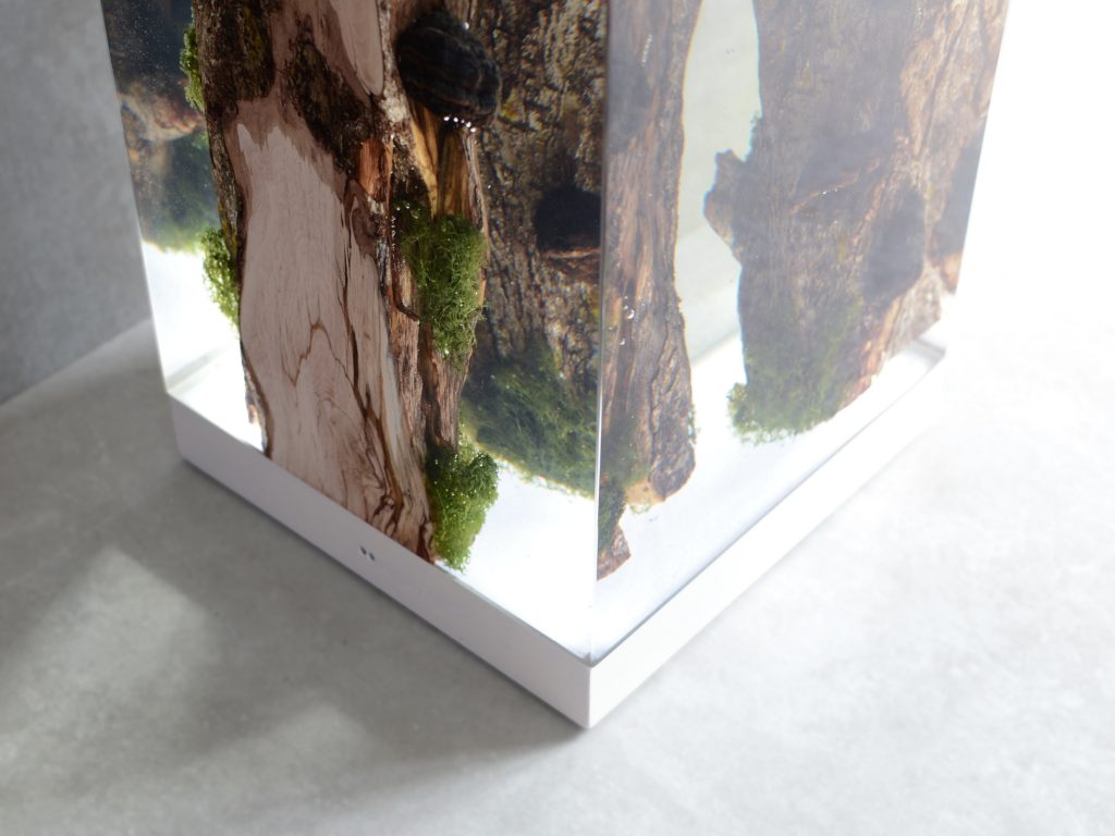 Closeup of Moss Lamp with a rectangular shape, featuring a natural wood base with a transparent resin inlay and a white lampshade, set against a gray background.