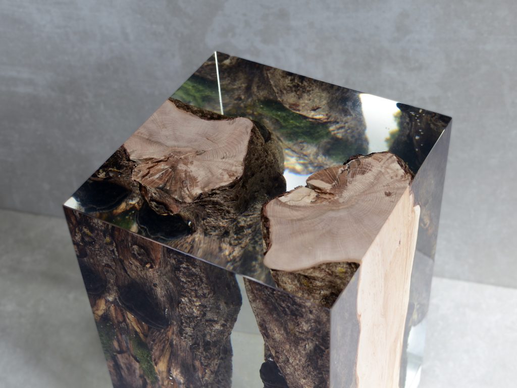 Closeup of Moss Lamp with a rectangular shape, featuring a natural wood base with a transparent resin inlay and a white lampshade, set against a gray background.