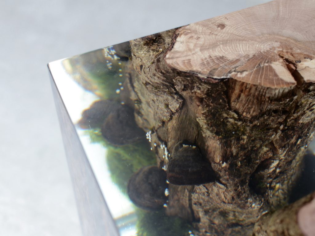 Closeup of Moss Lamp with a rectangular shape, featuring a natural wood base with a transparent resin inlay and a white lampshade, set against a gray background.