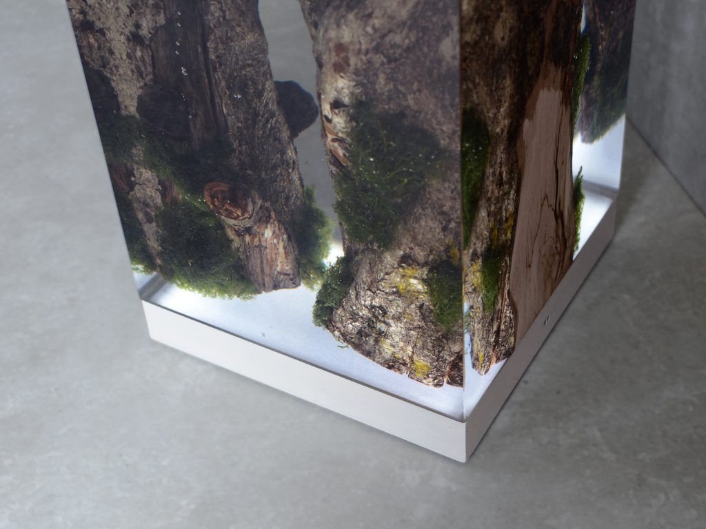 Closeup of Moss Lamp with a rectangular shape, featuring a natural wood base with a transparent resin inlay and a white lampshade, set against a gray background.