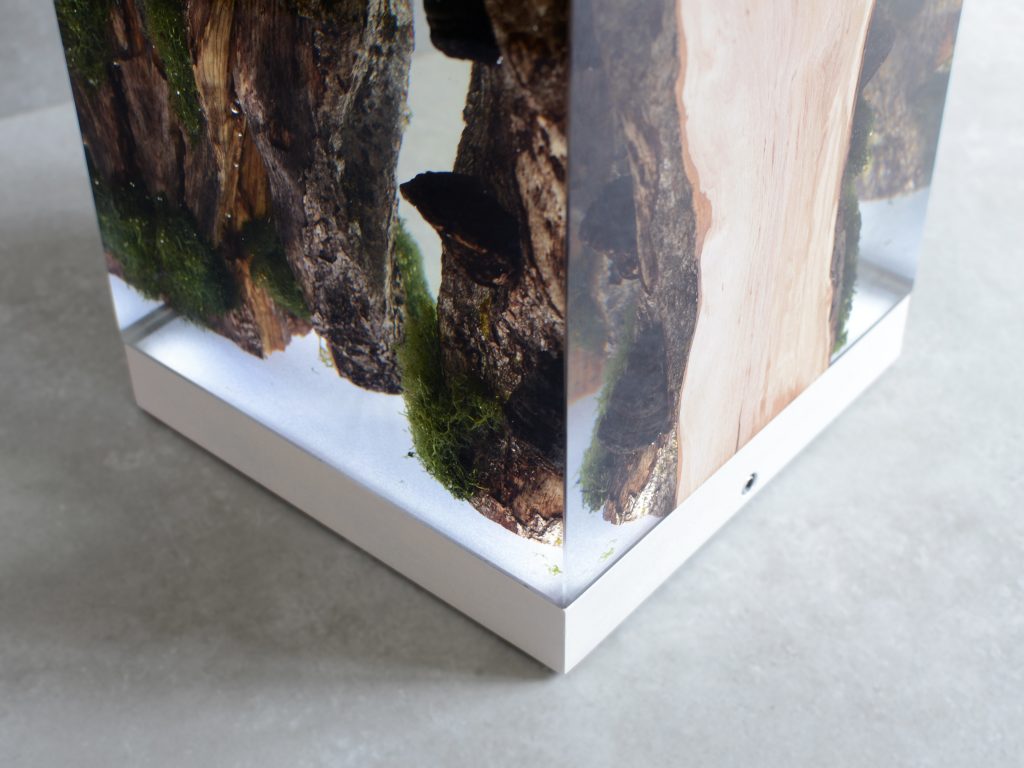 Closeup of Moss Lamp with a rectangular shape, featuring a natural wood base with a transparent resin inlay and a white lampshade, set against a gray background.
