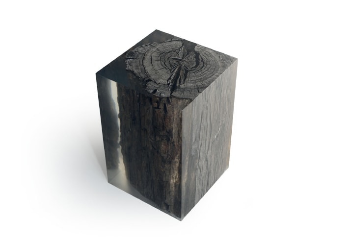 small sculpture made with plant materials such as felt, resins and wood and a shade of black and transparent colors.
