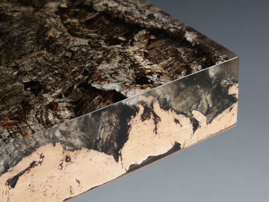 ddc_alc_Phellem_Low_Table-part.10