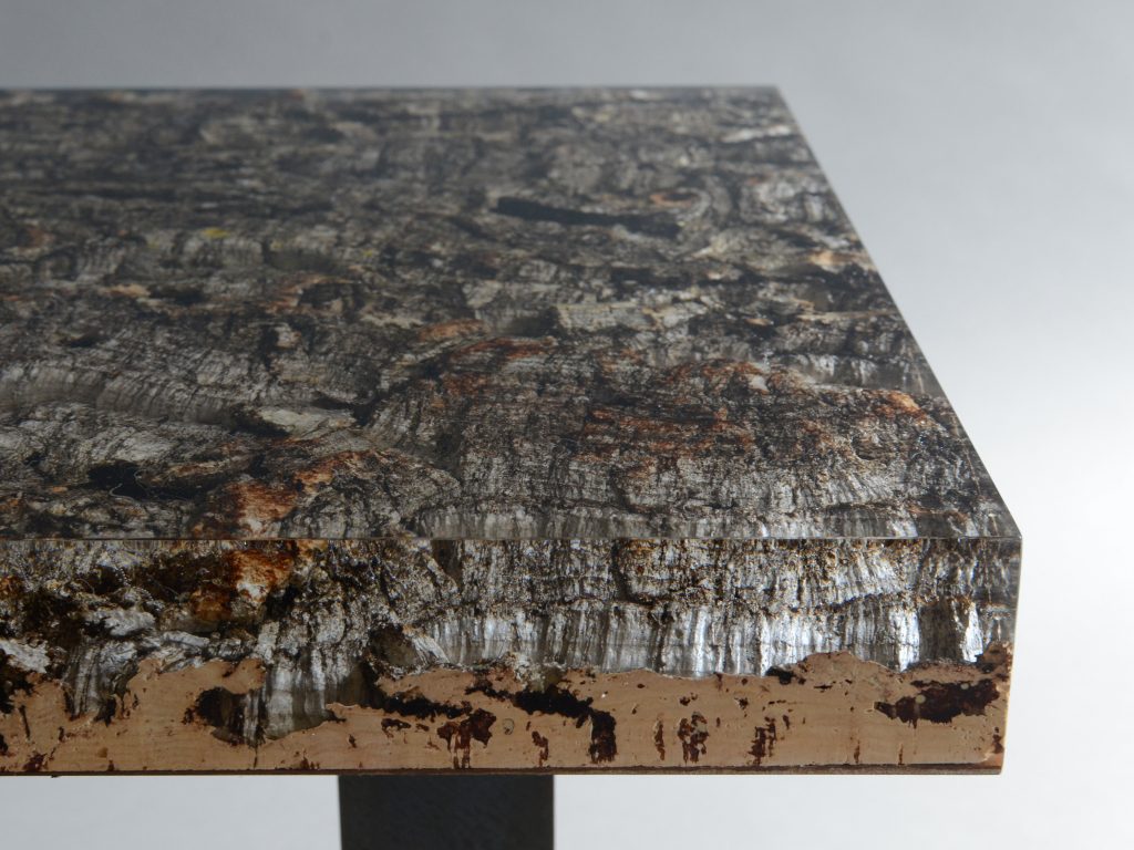 ddc_alc_Phellem_Low_Table-part.14