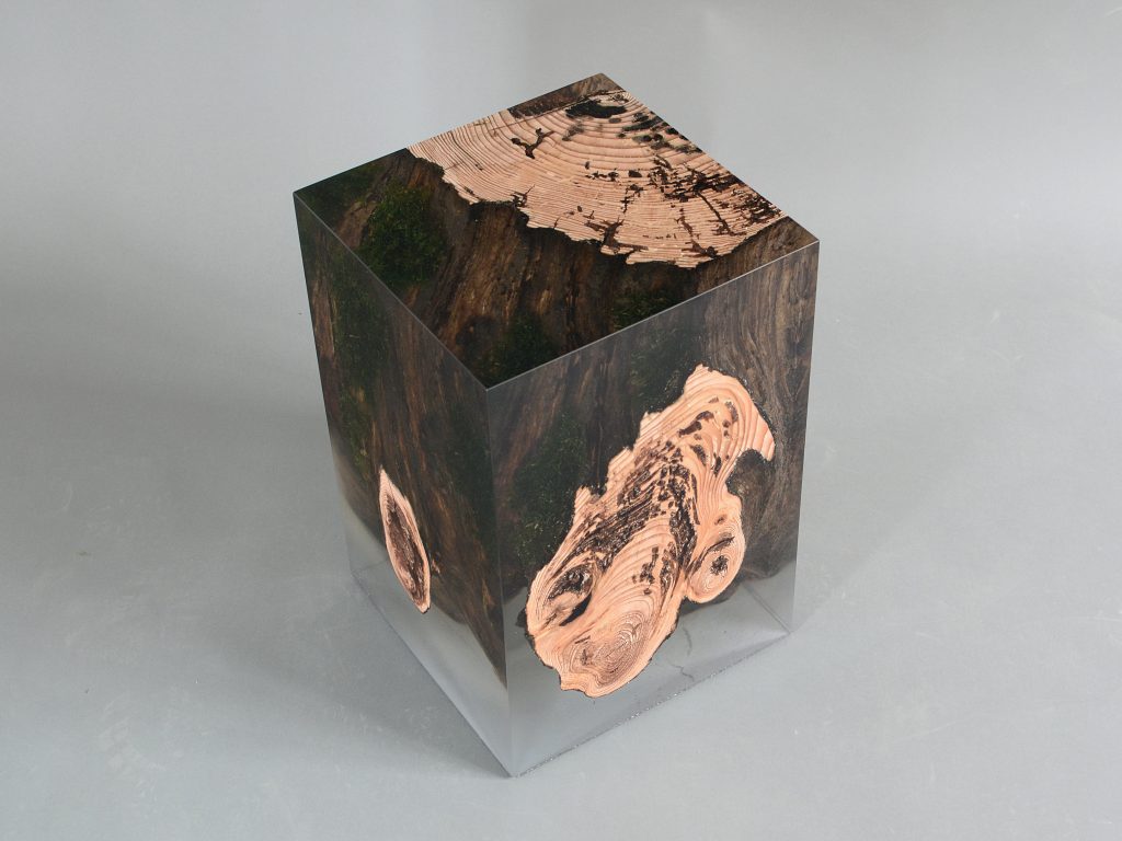 ddc_alc_Stump_Stool_Larch_1
