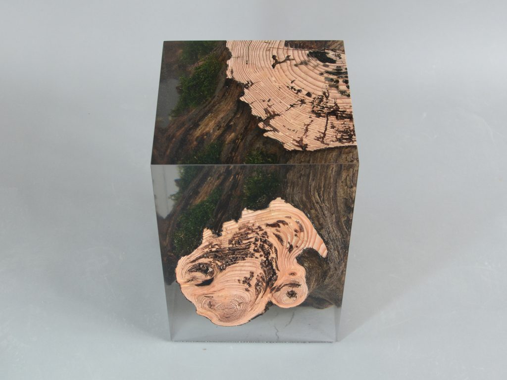 ddc_alc_Stump_Stool_Larch_3