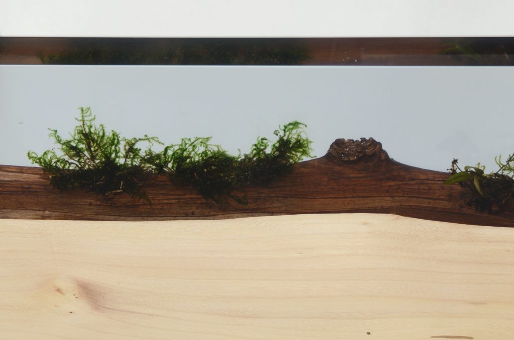 table made with alcarol resin based on a tree and light walnut wood on a gray background