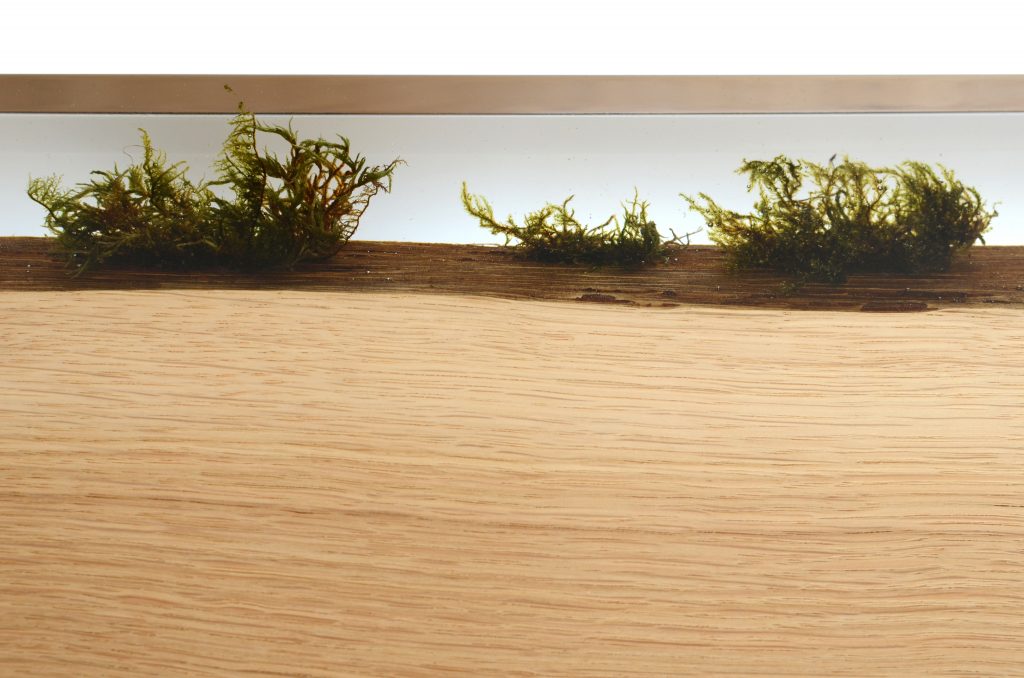 ddc_alc_Undergrowth16