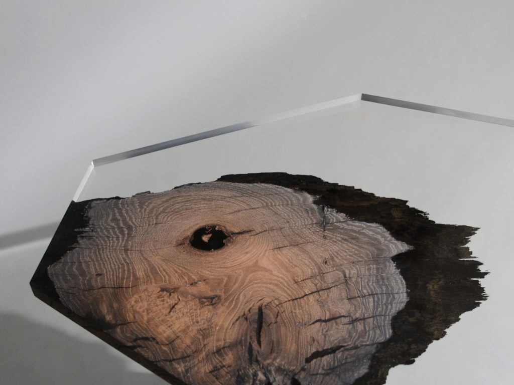 table base made of a dark brown natural wood log
