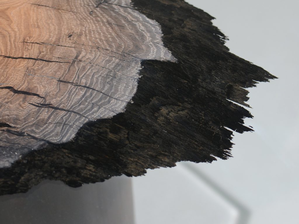 table base made of a dark brown natural wood log