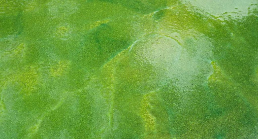 Nesso Outdoor Dining Table top in green water like pattern.