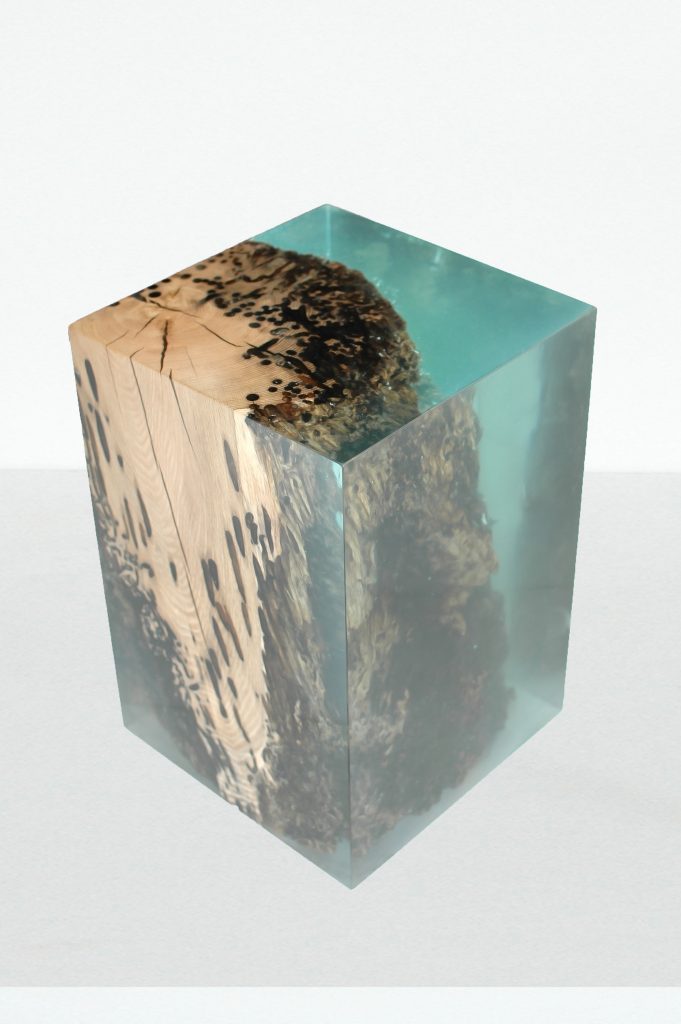 ddc_alc_Anchor_stool