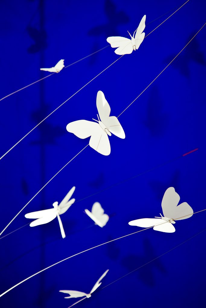 La Festa delle Farfalle
