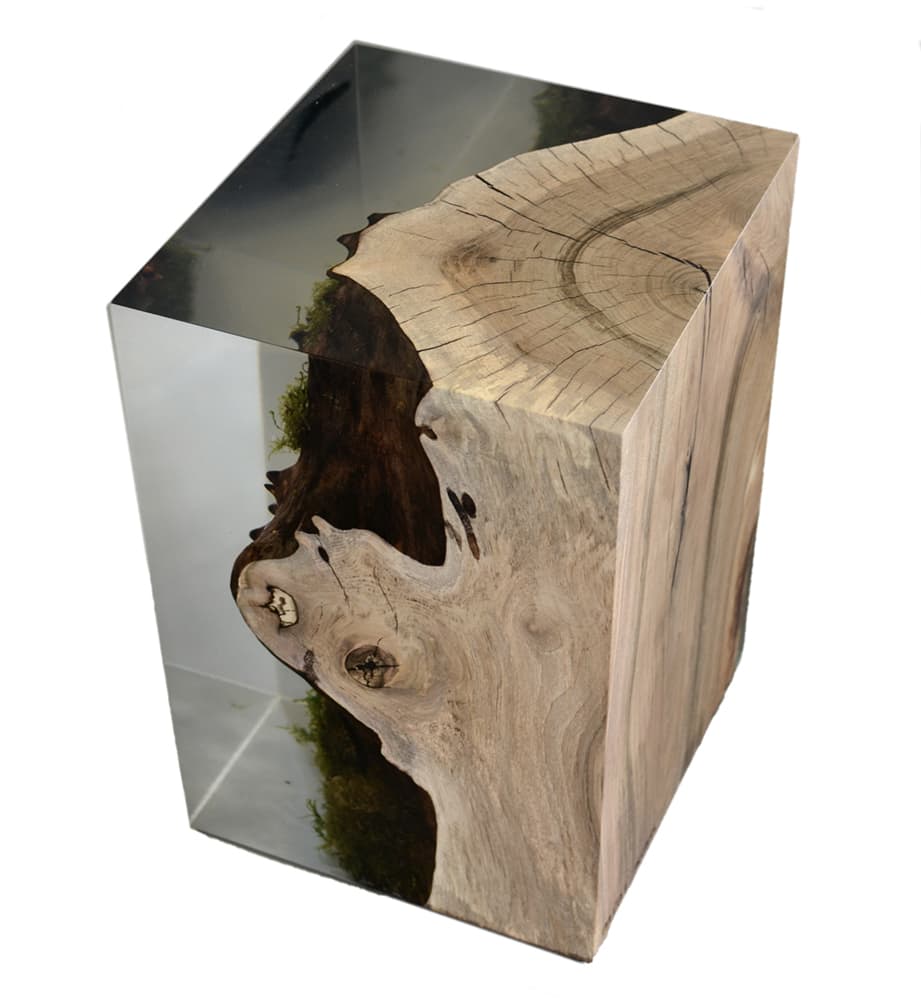 Stump Walnut