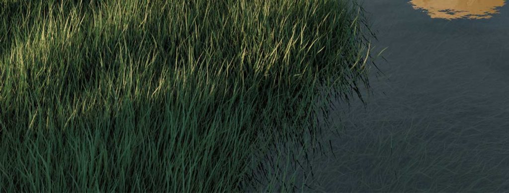 Metropolis January/February 2021