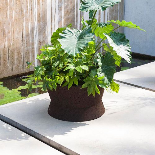 Bush On One Planter outside on a patio