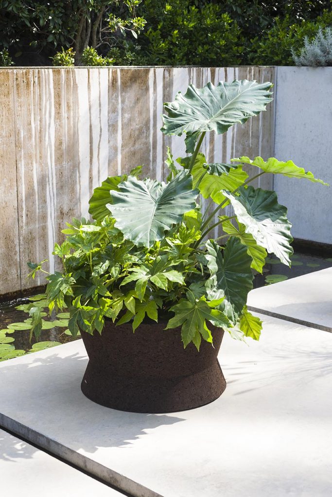 Bush On One Planter outside on a patio
