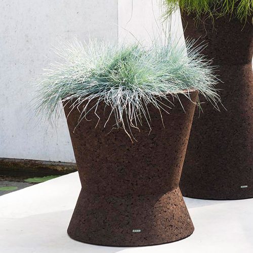 Bush On Two Planter in front of some marble stairs outside