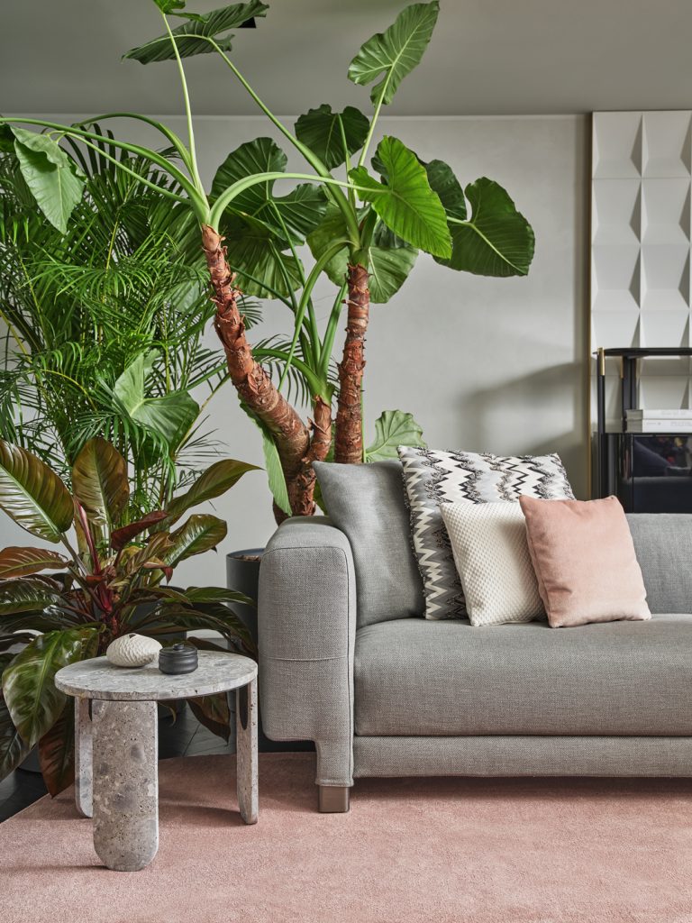 Elissa Sectional in grey with multicolored pillows on top with a house tree to the left side and a Clemo small marble table in front