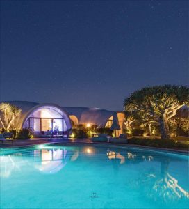 The Purist Mindful Architecture Design 2021