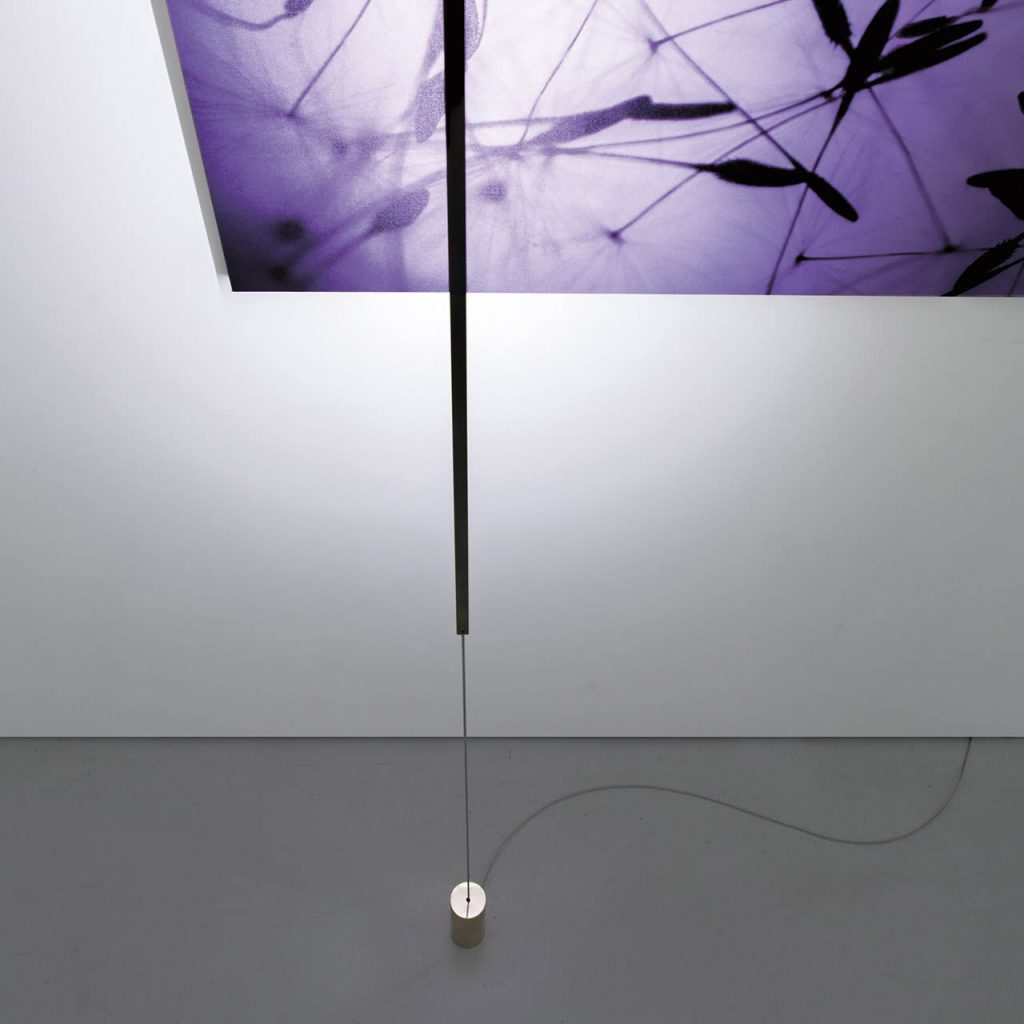 Masai light shining on a purple painting