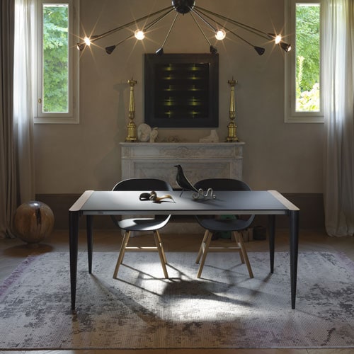 Bolero in front of a cream wall with a chandelier hanging over the table