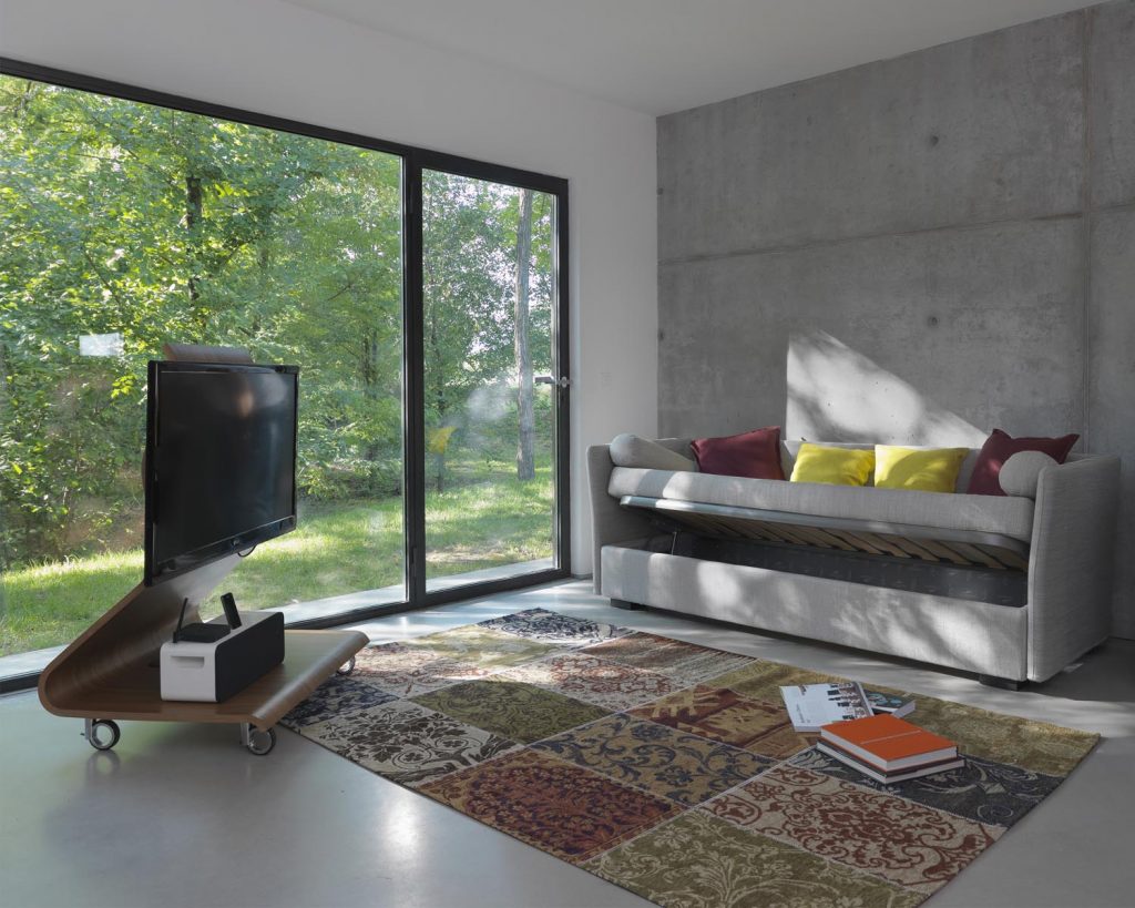 Figi in front of a grey wall with clear glass windows next to the couch