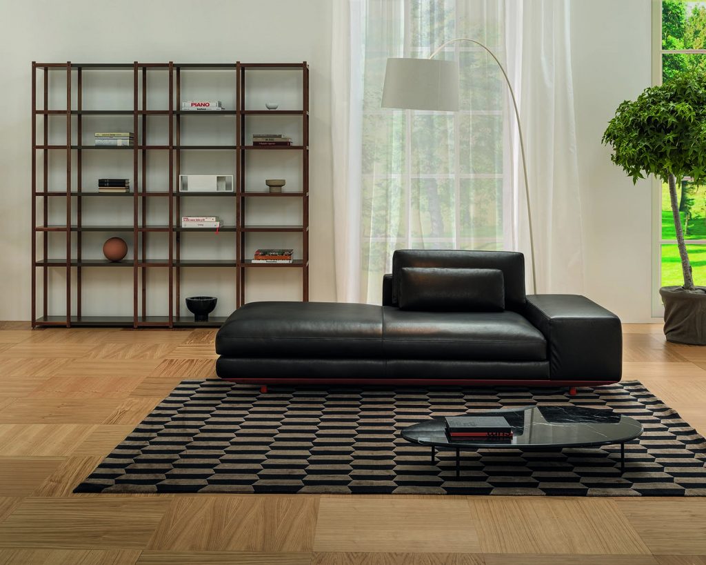 Miles in a black color on top of a black checkered rug with a shelf behind and a window with curtains