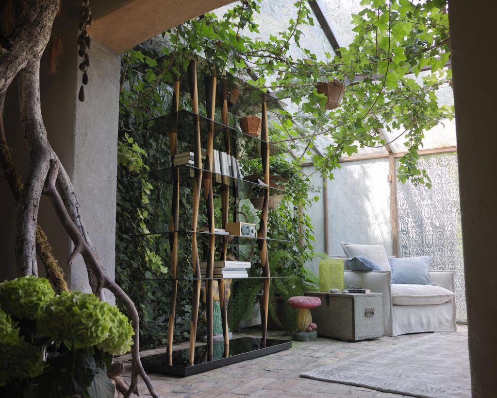 Sendai in a room with plants surrounding it