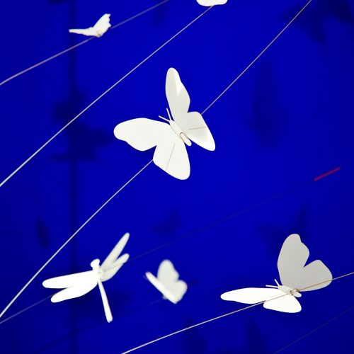 La Festa delle Farfalle light with a blue background and white butterflies