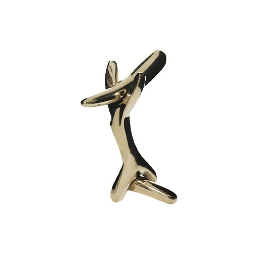This is the BD Rinocerontico door knob, distinguished by its bold, abstract silhouette. The polished brass surface enhances its organic form, making it both a tactile accessory and an artistic object.