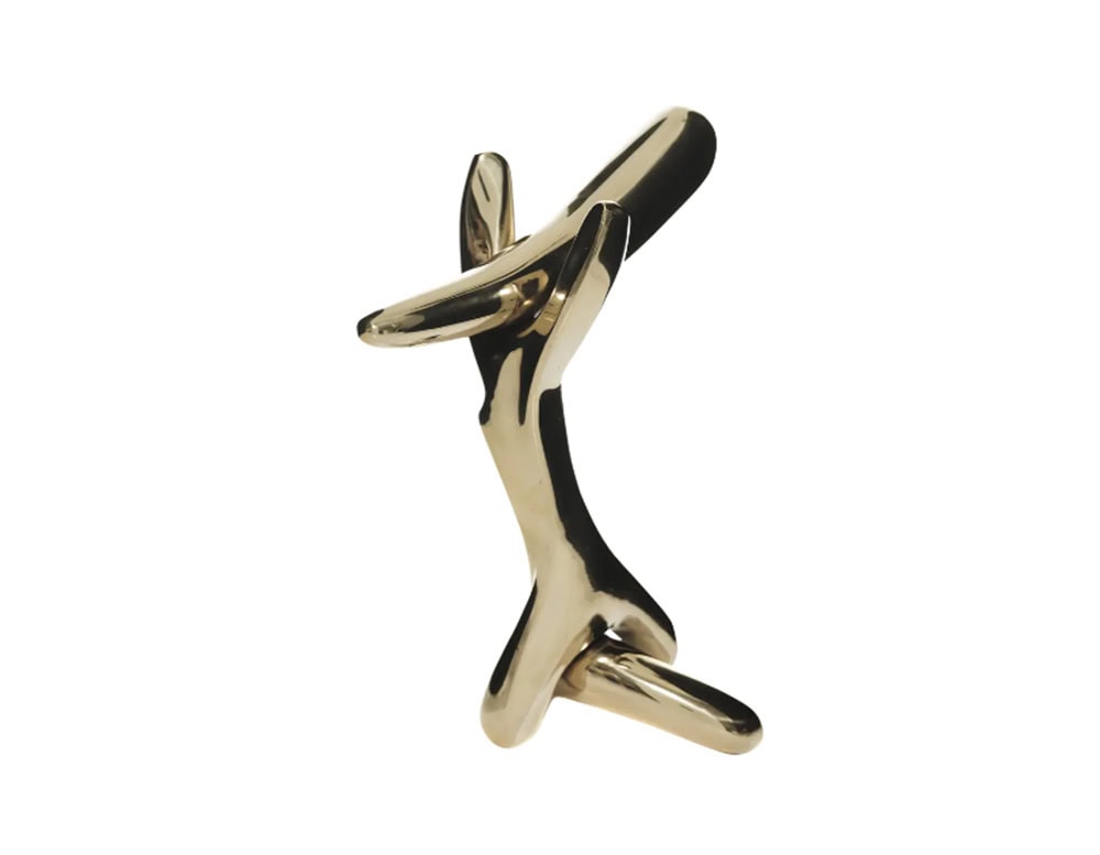 This is the BD Rinocerontico door knob accessory, designed with an expressive sculptural form. Its polished brass finish highlights the abstract, dynamic shape, turning a functional object into a statement piece.